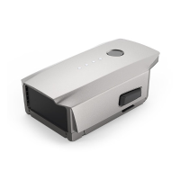 Mavic Int. Fl. Bat. Platinum P01