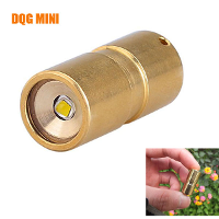 Dqg Fairy Edc Cree Xp G2 R5 10180 Mini Led Flashlight Brass