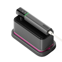 Tevorex Draagbare Handheld Strijkijzer Nat en Droog Kleine Opvouwbare Stoom Elektrische Strijkmachine Huishouden Kleding