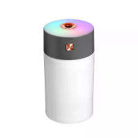 Draagbare Led lamp Mini 300 ml Spray Mist Luchtbevochtiger Dubbele Natte Aroma Essentiële Olieverspreider Auto Usb Lucht