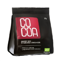 Cocoa Goji Bessen Pure Chocolade Raw