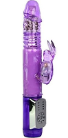 Bunny Budget Smooth Purple