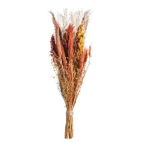 Droogbloemenboeket   mix terracotta   90 cm   Leen Bakker