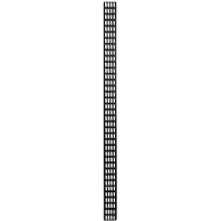 DSI 37U verticale kabelgoot   DS CABLETRAY 37U kabelkanaal