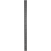 DSI 47U verticale kabelgoot   DS CABLETRAY 47U kabelkanaal