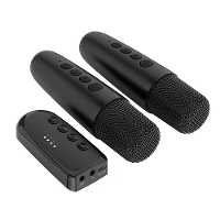DSK1 Draadloze Karaoke Companion Bluetooth 5.3 Dynamische Microfoon KTV DSP Mixer Systeem 3.5MM AUX Type C Versterker Ho