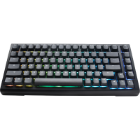 Ducky Tinker 75% RGB Speed Silver HS US