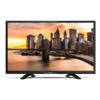 Live 24 Pro TCS 50 FHD 60