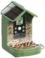 Easypix BirdyCam Wildcamera Met voerautomaat Groen