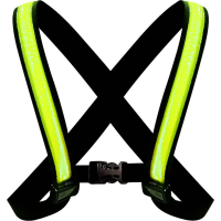 Easypix StreetGlow LED Veiligheidslamp
