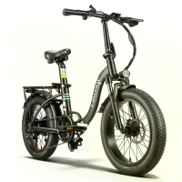[EU DIRECT] E·BYCCO S1 Elektrische Fiets, 36V 10,4Ah Batterij, 250W Motor, Aanbevolen Topsnelheid 25KM/H, Vergrendelbare