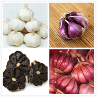 Egrow 100 Pcs/Bag Multi petals Red Garlic Seeds Organic Vegetables Kitchen Food Seasoning for Home Garden Bonsai Planting