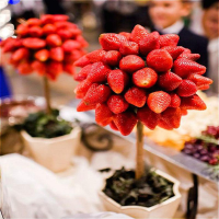 Egrow 100 Pcs/Pack Strawberry Tree Seeds Rare Fruit Strawberry Bonsai Seed Garden DIY Planting