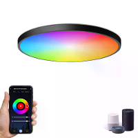 Elfeland 24W 30cm Slimme LED Plafondlamp RGB+Wit Licht WiFi APP & Stemcontrole 3000K~6500K Dimmer werkt met Alexa & Goog