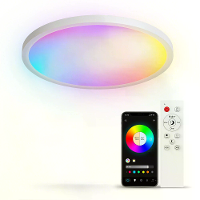 Elfeland 24W Slimme RGB Plafondlamp WiFi Bluetooth Muziek Synchronisatie Dimbare Kleurtemperatuur APP & Stemcontrole