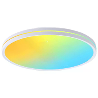 Elfeland 48W RGB Plafondlamp Afstandsbediening met 16 Miljoen Kleuren Dimbaar Meerdere Scène modi LED Inbouw Plafondlamp