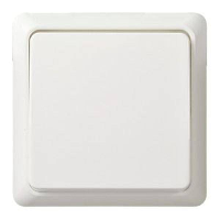 ELSO toets 502104 10A complete RENOVATIE rw Meerdere kleuren 1 stuk(s)