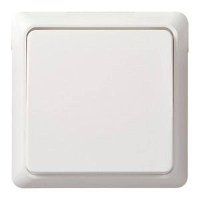 ELSO universele schakelaar 501604 10A complete RENOVATIE rw Wit 1 stuk(s)