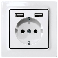 Eltako DSS55E+2xUSBA pm Stopcontact Inbouw (in muur), Schroefbevestiging