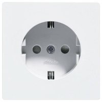 Eltako DSS55EOR wg 10 St. Stopcontact Inbouw (in muur), Schroefbevestiging