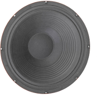 Eminence Erreigna 12 Inch 30.48 Cm Luidsprekerchassis 75 W 8 Â