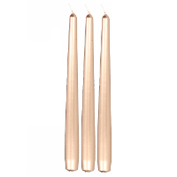 Enlightening Candles Dinerkaarsen   12x stuks   koper   8 branduren   25 cm   kandelaar kaarsen