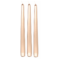 Enlightening Candles Dinerkaarsen   12x stuks   licht goud   8 branduren   25 cm   kandelaar kaarsen