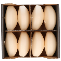 Enlightening Candles Drijfkaarsen   8x stuks   creme wit   ca 8 branduren   geurloos   Dia 8 cm   gr