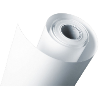 Epson Premium Semigloss Photo Paper Roll, 250g/m² papier