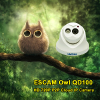 Escam QD100 720P IP Camera Network IR Cut P2P IR Night Vision Motion Detection Support Onvif Camera