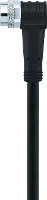 Escha 8043764 Sensor/actuator connector, geassembleerd M8 Aantal polen (sensoren): 4 Bus, haaks 5.00 M 1 stuk(s)