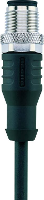 Escha 8043830 Sensor/actuator connector, geassembleerd M12 Aantal polen: 5 Stekker, recht 5.00 M 1 stuk(s)