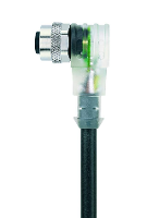 Escha 8045911 Sensor/actuator connector, geassembleerd M12 Aantal polen (sensoren): 4 Bus, haaks 2.00 M 1 stuk(s)