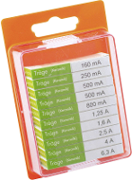 ESKA 122.850 122850 Buiszekering assortiment (Ø x l) 5 mm x 20 mm Traag  T  Inhoud 100 stuk(s)