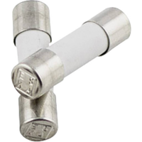ESKA 520.512 520512 Buiszekering (Ø x l) 5 mm x 20 mm 0.315 A 250 V Snel  F  Inhoud 10 stuk(s)