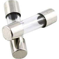 ESKA 520.621 520621 Buiszekering (Ø x l) 5 mm x 20 mm 2.5 A 250 V Snel  F  Inhoud 10 stuk(s)