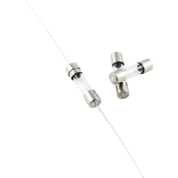 ESKA 520.625 520625 Buiszekering (Ø x l) 5 mm x 20 mm 6.3 A 250 V Snel  F  Inhoud 10 stuk(s)