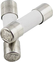 ESKA 520128 Buiszekering (Ø x l) 5 mm x 20 mm 12.5 A 250 V Supersnel  FF  Inhoud 10 stuk(s)