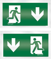 ESYLUX EN10030437 Pictogram Uitgang