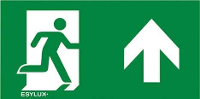 ESYLUX EN10077654 Pictogram Uitgang