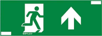 ESYLUX EN10077722 Pictogram Uitgang