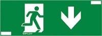 ESYLUX EN10077739 Pictogram Uitgang