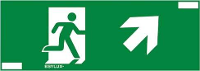 ESYLUX EN10077777 Pictogram Uitgang