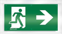 ESYLUX EN10079009 Pictogram Uitgang