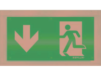 ESYLUX EN10079023 Pictogram Uitgang