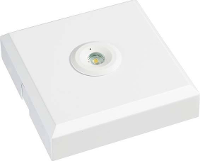 ESYLUX EN10080036 LED vluchtwegverlichting