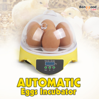 Eu Automatic Eggs Incubator Mini Incubation Equipment Farm 7 Eggs Household Teaching Experiments