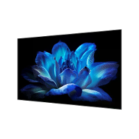 [EU Direct] 100/120 Inch 4K ALR Scherm Huisdier Kristallen Zwarte Scherm voor Ultra Short Throw Projector tegen licht Ho