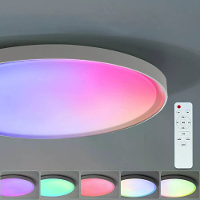 [EU Direct] Elfeland 62W~65W LED RGB Slimme Plafondlamp Eenvoudige Moderne Slaapkamer Woonkamer Licht 220V~240V Werkt Me