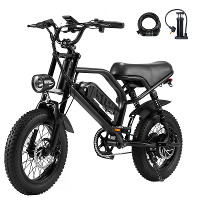 [EU DIRECT] A13 Elektrische Fiets 36V 12.8Ah 250W Motor 16*3 Inch Banden 25kmh Max Snelheid 40 70km Max Bereik 120kg Max
